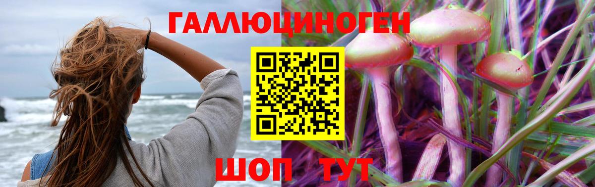 Салехард  Галлюциногенные грибы мицелий  Вход с VPN 
